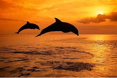 率先踏上恐怖之旅！《时间旅者：重生曙光》豪华版现已解锁