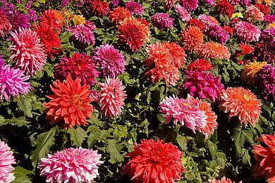 液金门爆发？消息称未来几年越来越多PS5恐“报废”